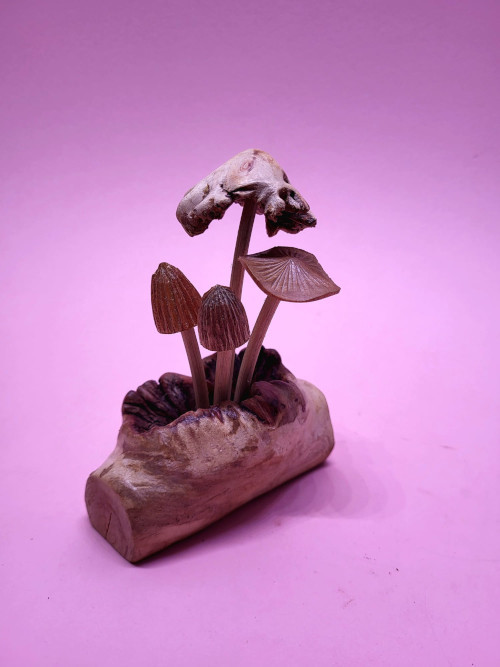 Artifex image - Woodland Mushrooms